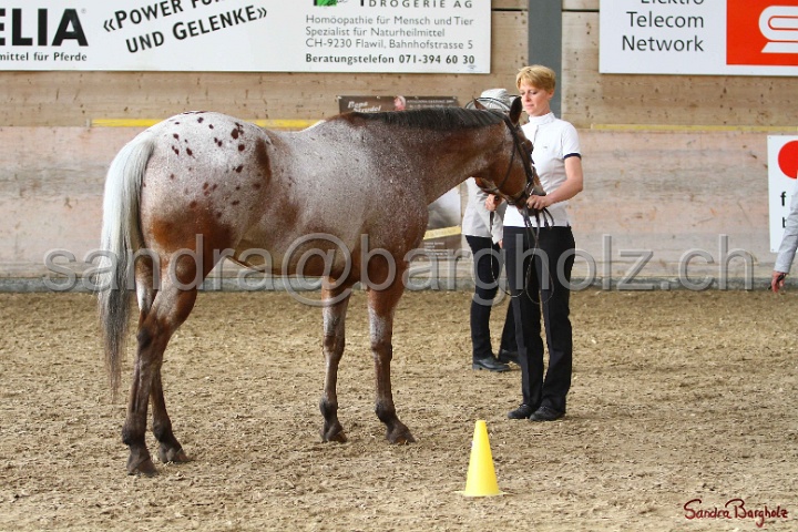 24-ApHC HIH_067.jpg